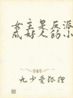 女主是反派却装成好人的小说