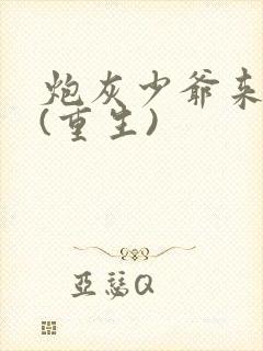 炮灰少爷来逆袭(重生)