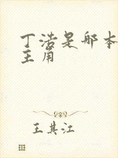 丁浩是哪本小说主角