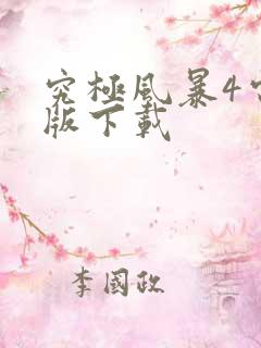 究极风暴4电脑版下载