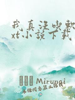 我真没吃软饭txt小说下载