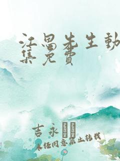 江思先生动漫全集免费