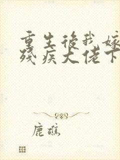 重生后我嫁给了残疾大佬下载