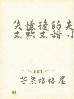 失忆后的夫人她又软又甜 小说