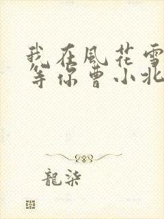 我在风花雪月里等你曹小北结局