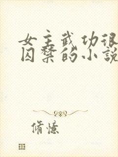 女主武功很高被囚禁的小说