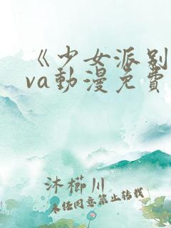 《少女派别》ova动漫免费观看
