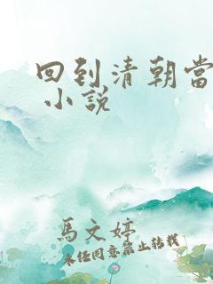 回到清朝当皇上 小说