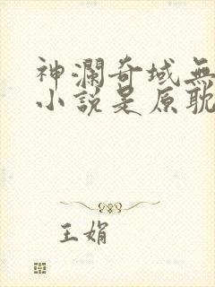 神澜奇域无双珠小说是原耽吗