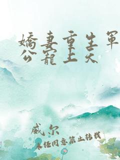 娇妻重生军长老公宠上天