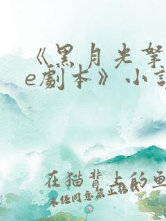 《黑月光拿稳be剧本》小说