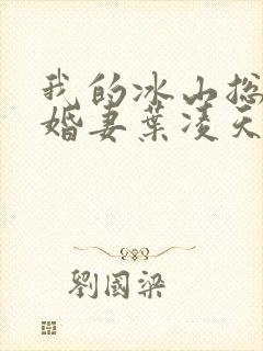 我的冰山总裁未婚妻叶凌天