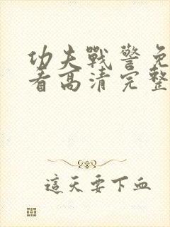 功夫战警免费观看高清完整版