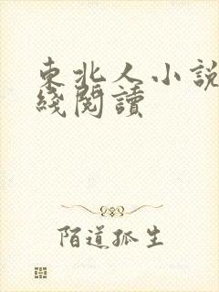 东北人小说网在线阅读