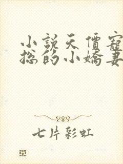 小说天价宠妻霍总的小娇妻