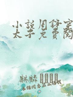 小说周铮穿越成太子免费阅读