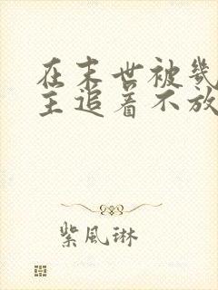 在末世被几个男主追着不放的小说