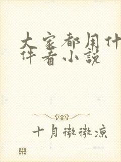 大家都用什么软件看小说