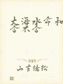 大海水命和金命合不合