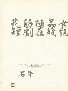 我的极品女房东短剧在线观看