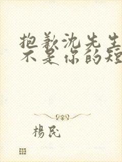 抱歉沈先生孩子不是你的短剧免费观看