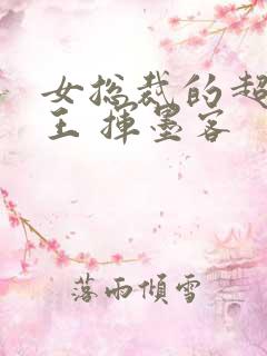 女总裁的超级兵王 挥墨客