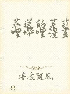 葬送的芙莉莲哔哩哔哩漫画