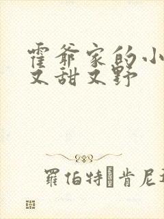 霍爷家的小祖宗又甜又野