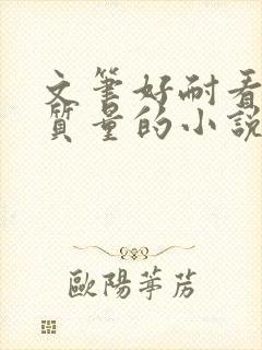 文笔好耐看的高质量的小说