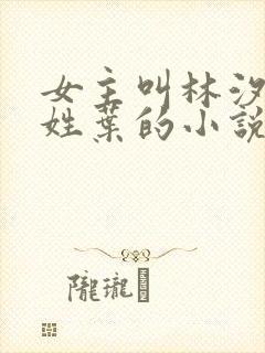 女主叫林汐男主姓叶的小说