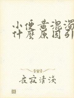 小便黄混浊男性什么原因引起的