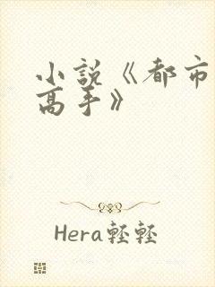 小说《都市全能高手》