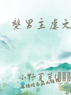 双男主虐文生子