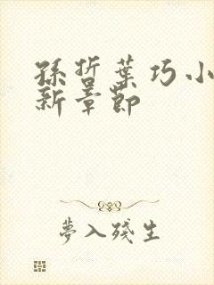 孙哲叶巧小说最新章节