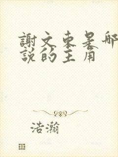 谢文东是哪部小说的主角