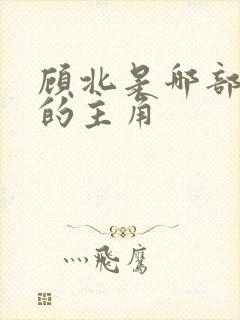 顾北是哪部小说的主角