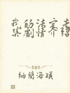 我的法定老公分集剧情介绍