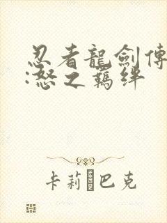 忍者龙剑传外传:怒之羁绊