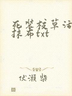 死装校草活该被抹布txt