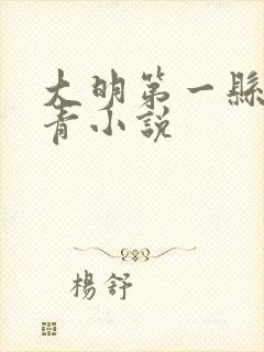 大明第一县令叶青小说