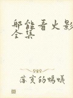 哪能看火影忍者全集