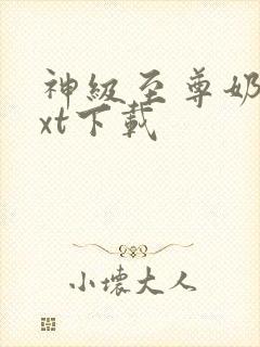 神级至尊奶爸txt下载