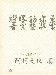 耀眼的你免费观看完整版电视剧全集