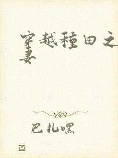 穿越种田之将门妻