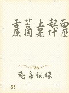 舌苔上起白泡的原因是什么