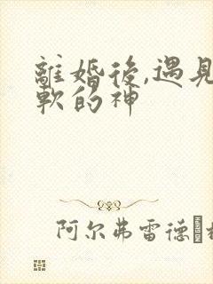 离婚后,遇见心软的神