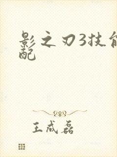 影之刃3技能搭配