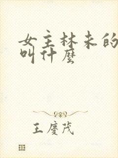 女主林未的小说叫什么