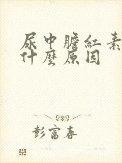 尿中胆红素高是什么原因