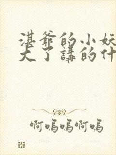 湛爷的小妖精长大了讲的什么